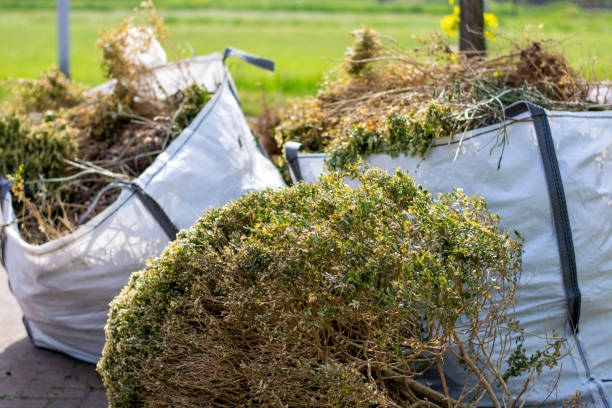 Professional Junk Removal in Coudersport, PA